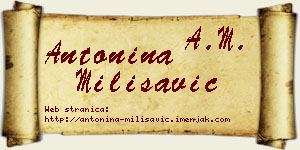 Antonina Milisavić vizit kartica